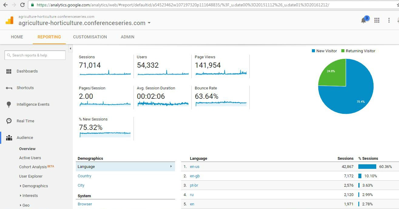 Visitor Analysis Report